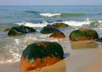Морские камушки